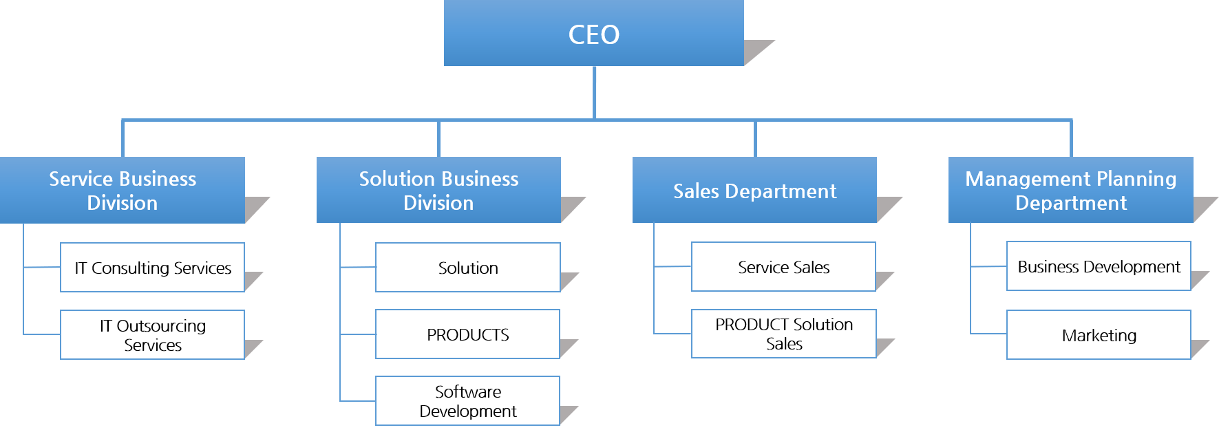 company_flow